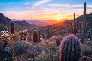 A vibrant sunset paints the desert sky.